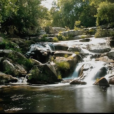 فيلا Casa Do Terreiro Sao Joao de Tarouca المظهر الخارجي الصورة
